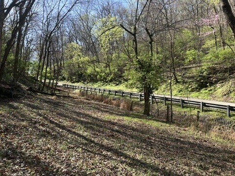 Wooded Custom Home Lot