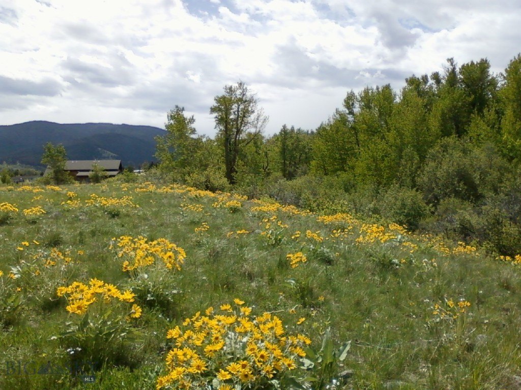 Land with Hyalite Creek Frontage