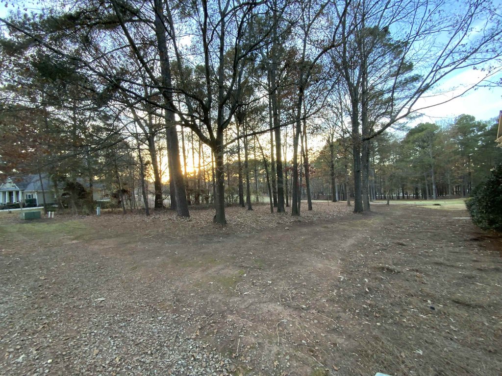 Picture 3