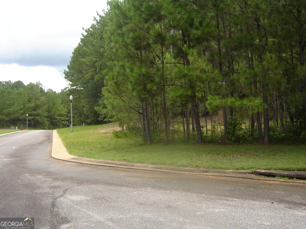Picture 3