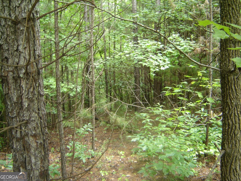 Picture 7