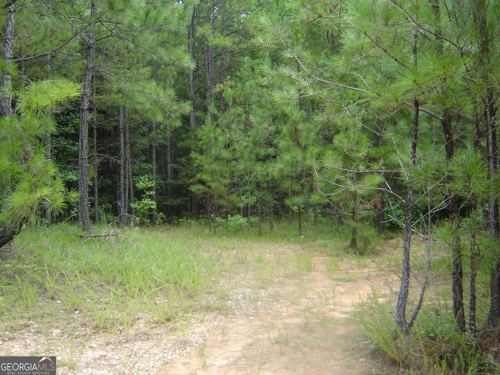 Picture 4