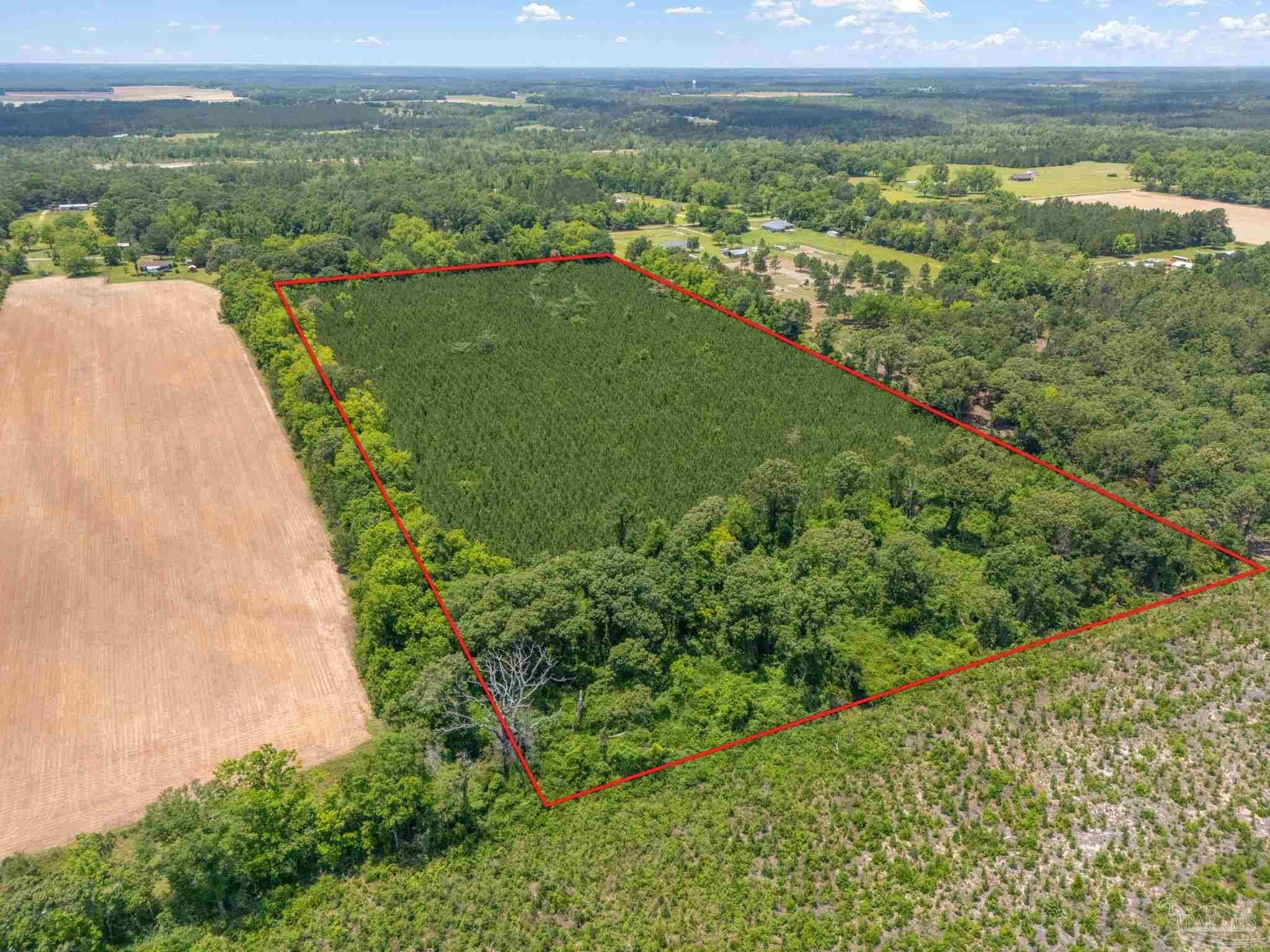 20 Acres in Milton, FL