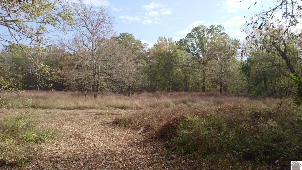 Picture 19