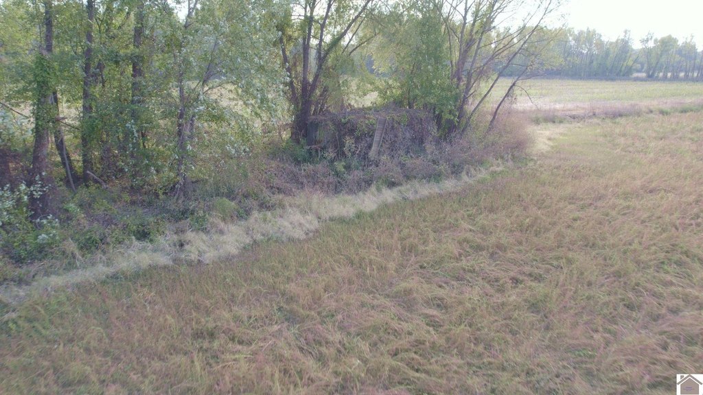 Picture 23