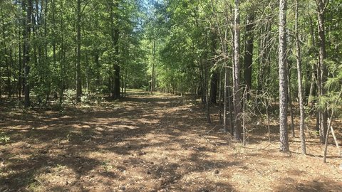 Land, Sumter, SC