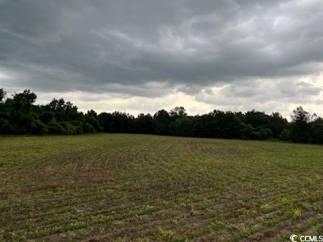 Picture 7