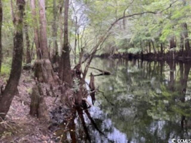 Picture 9