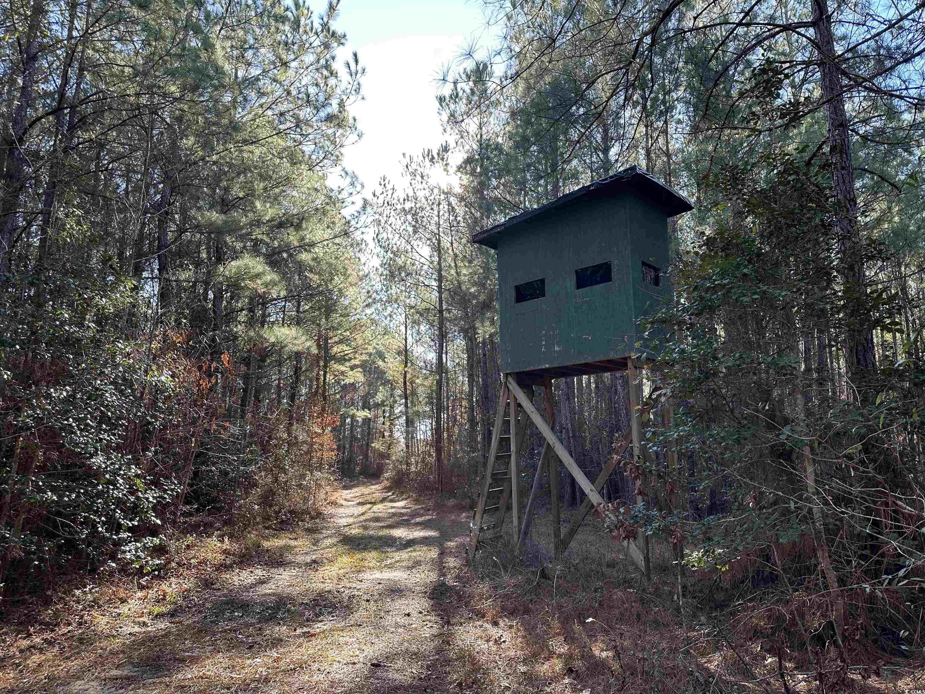 Recreational Hunting Tract on Lynch's River