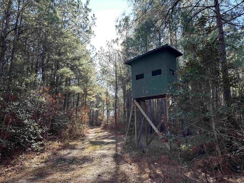 Recreational Hunting Tract on Lynch's River