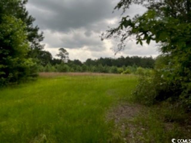 Picture 12