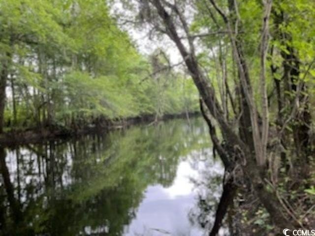 Picture 2
