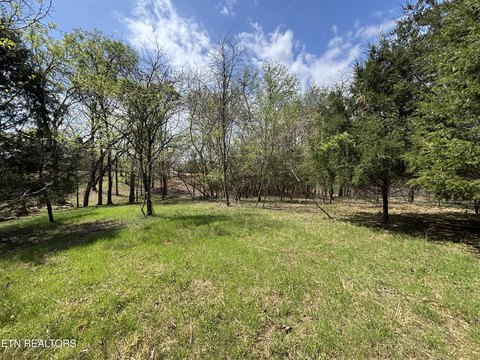 Lake View Property in Rockwood