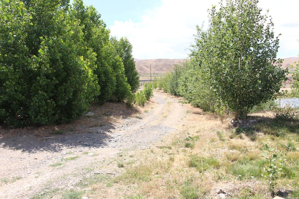 Picture 11