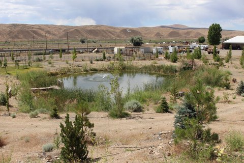 Carlin Land with Pond