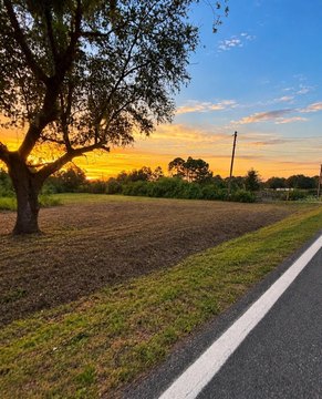 Vacant Buildable Land with Paved Access