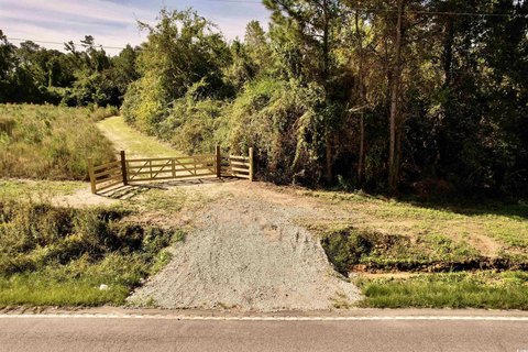 Johnsonville Land with Hunting Potential