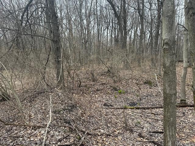Picture 31