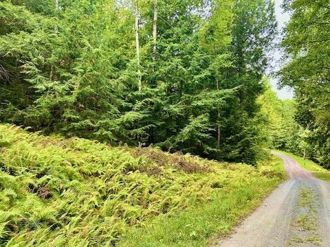 Haverhill Land with Mountain Views