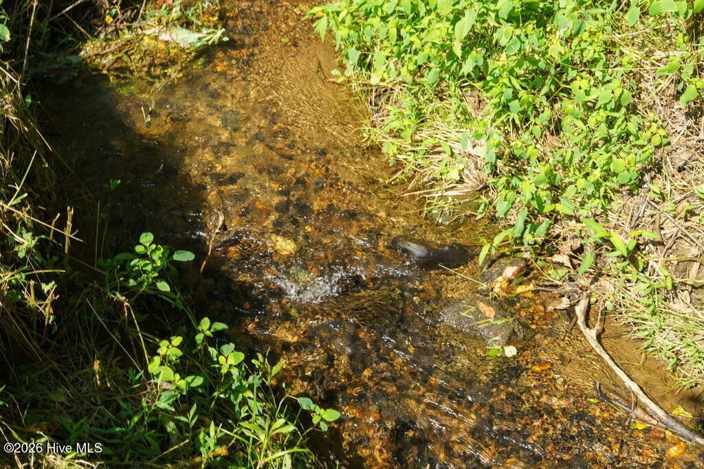 Picture 16