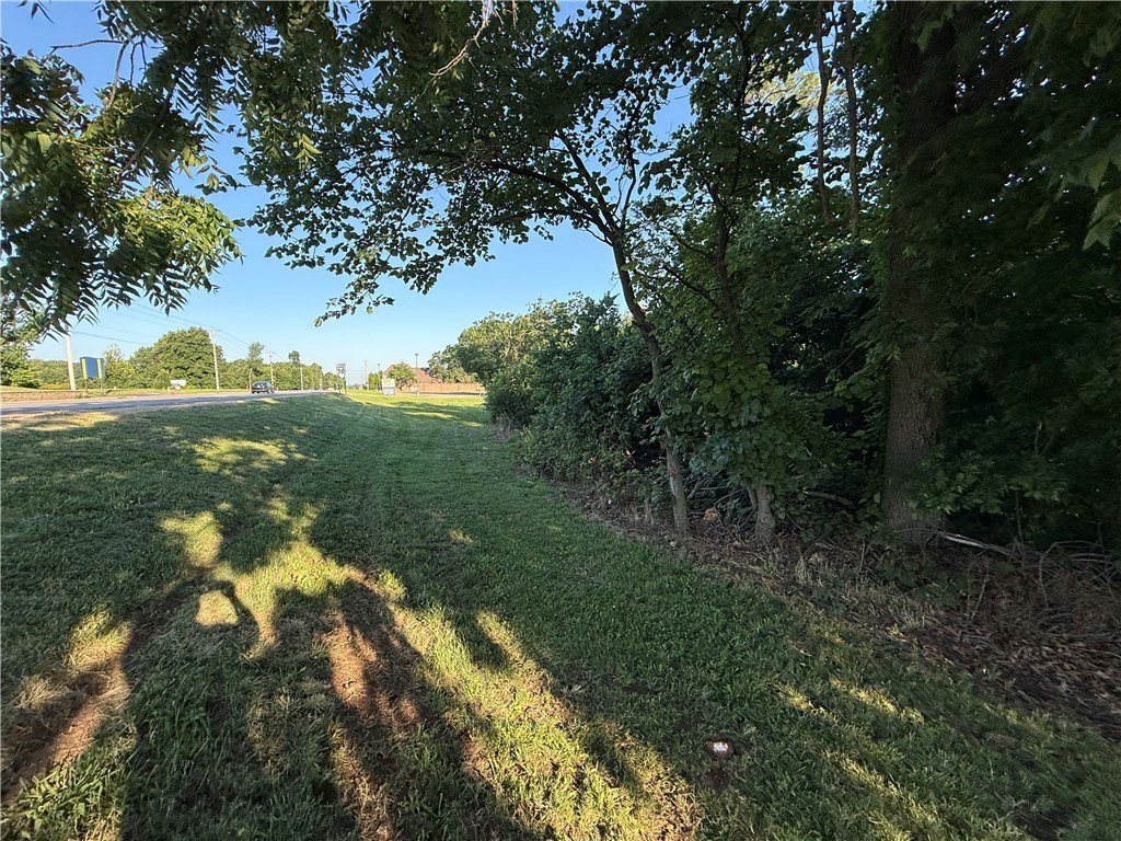 Picture 6