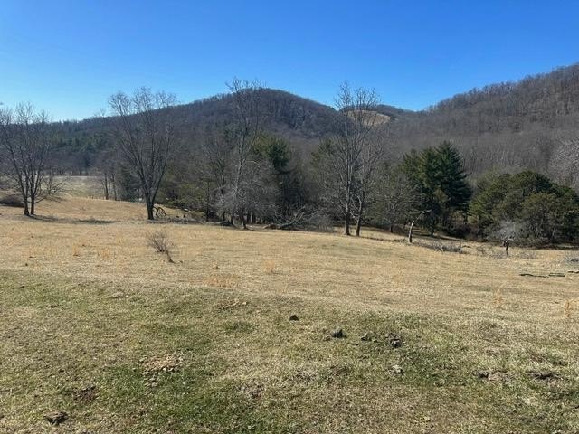 36.5 Acres in Mouth of Wilson