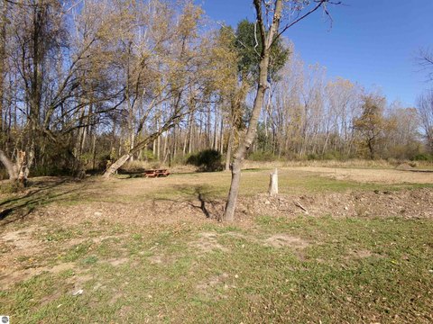 Vacant Lot/Land, Maple Rapids, MI