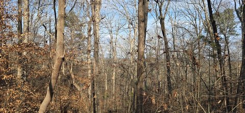 Land Parcel Near Highway 369