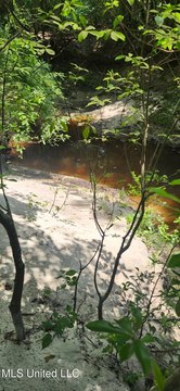 Scenic Land with Development Potential