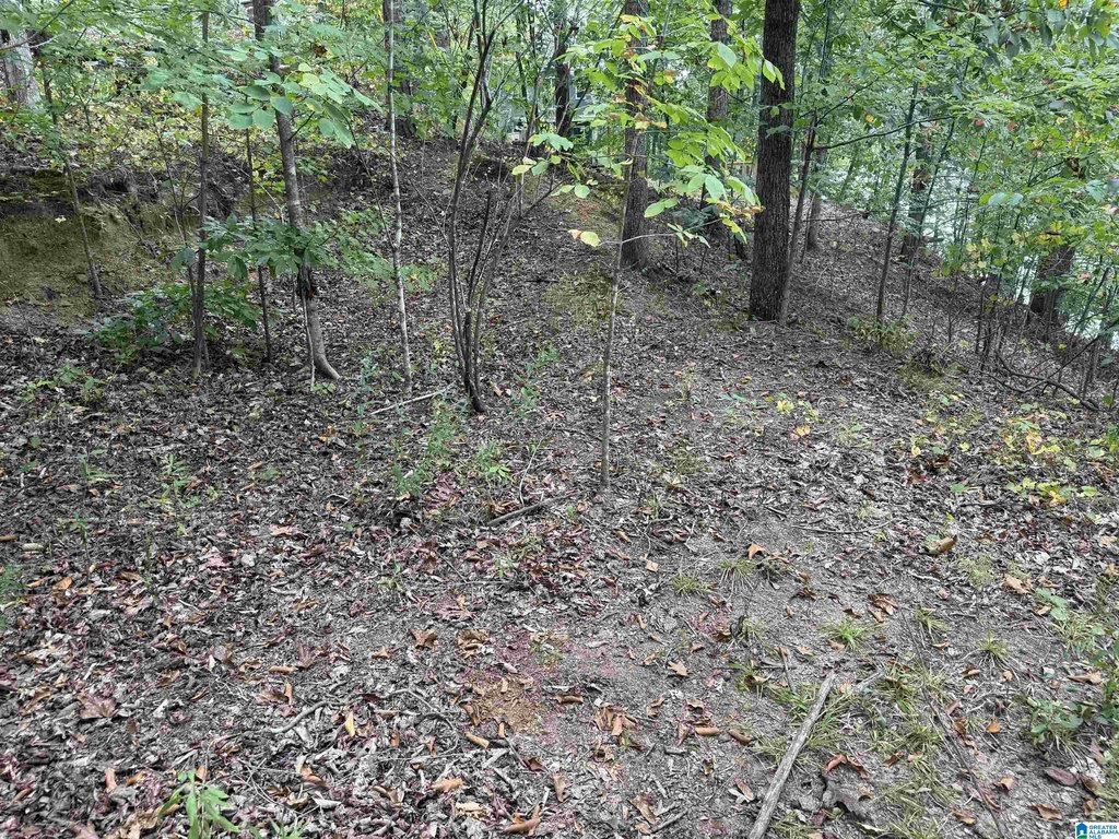Picture 13