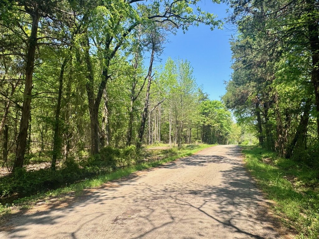 Picture 16