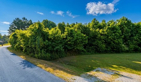 LAND - Rogersville, AL