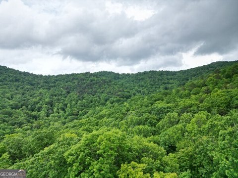 Land with Mountain Views