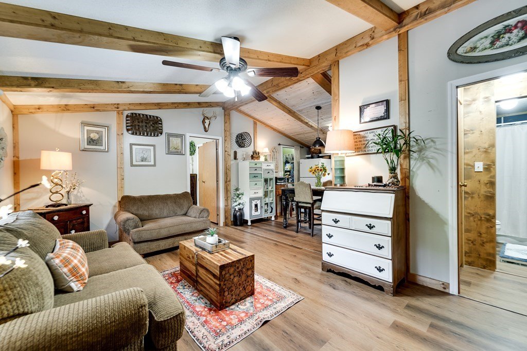 Picture 24