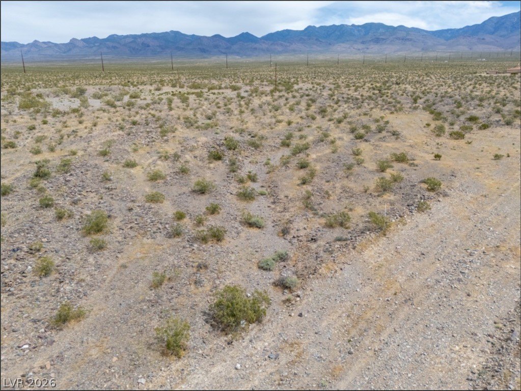 Picture 3