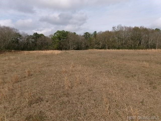 Picture 20