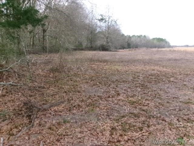 Picture 8