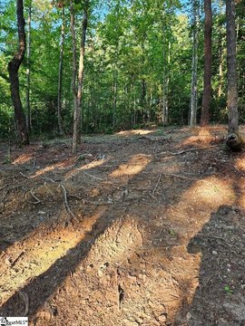 LAND - Pickens, SC