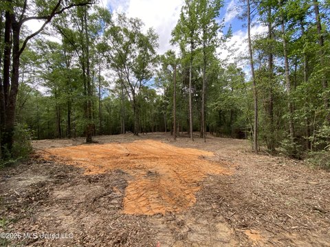 Lucedale Land with Road Frontage