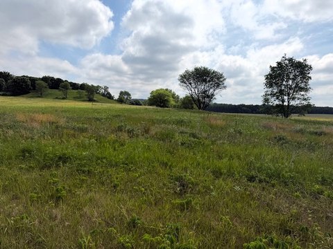 LAND - Boyceville, WI