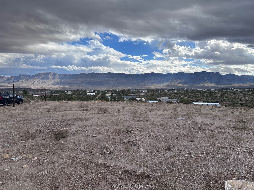 Picture 9