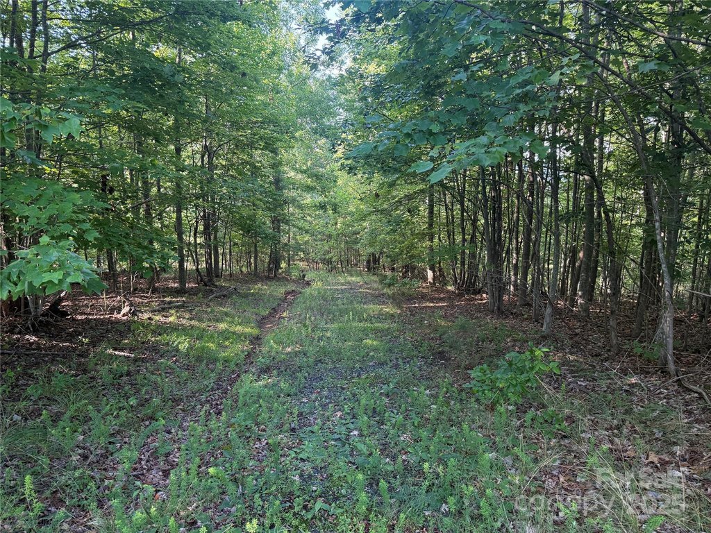 Picture 3