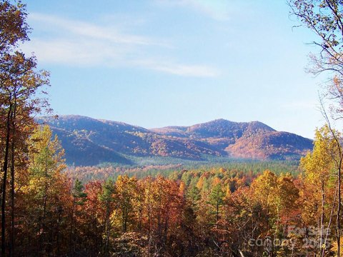 Land, Other - Nebo, NC