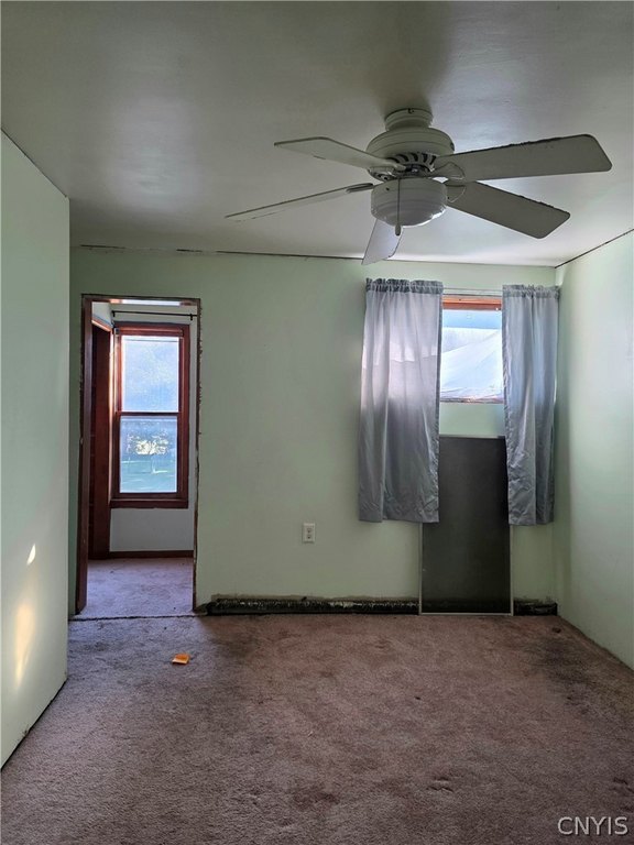 Picture 18
