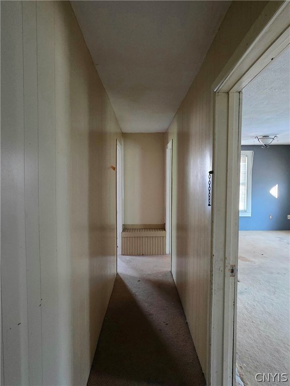 Picture 39