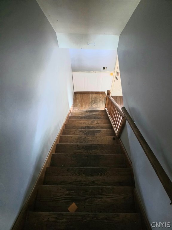 Picture 25