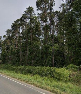 Unrestricted Land in Ambrose, Georgia