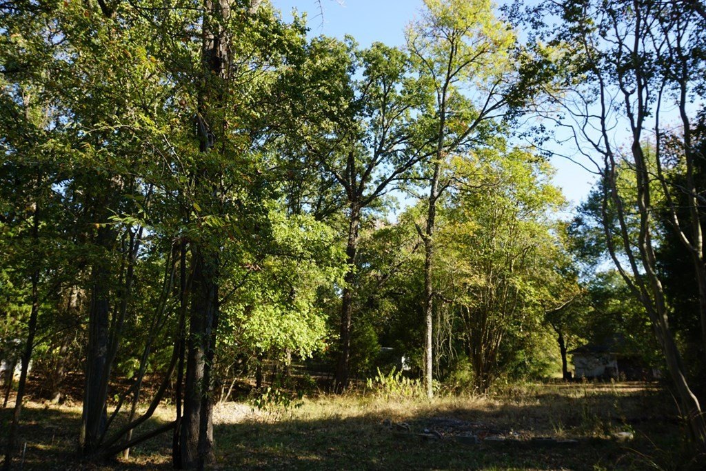Picture 18