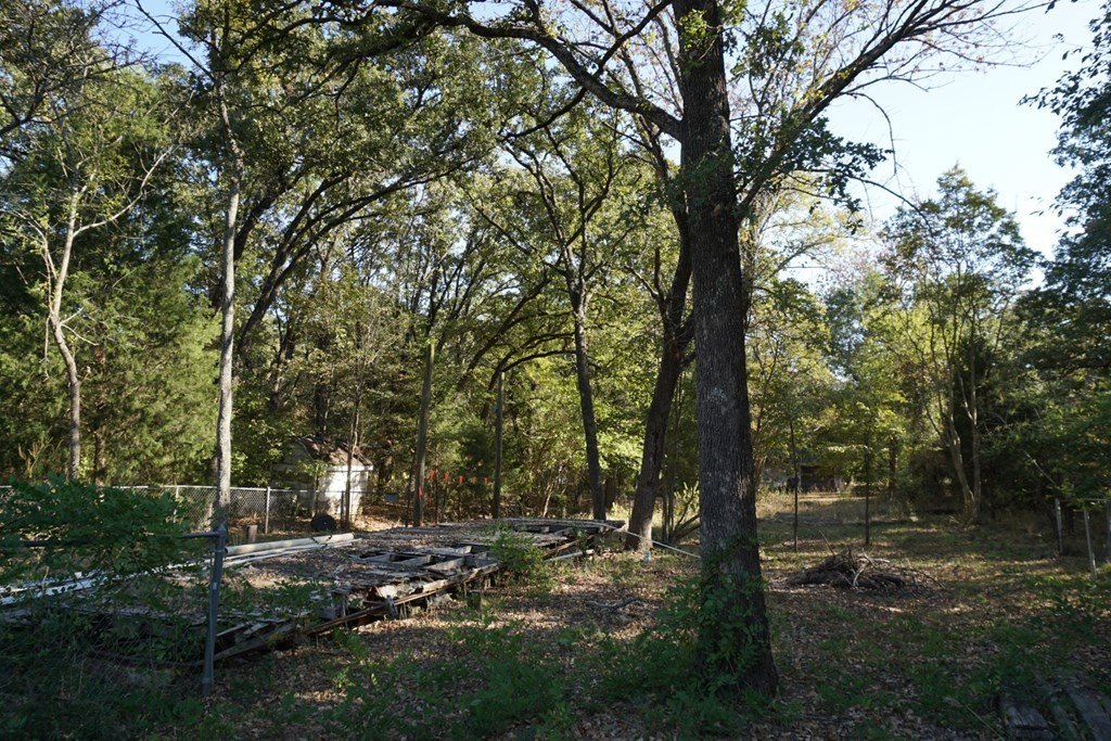 Picture 13