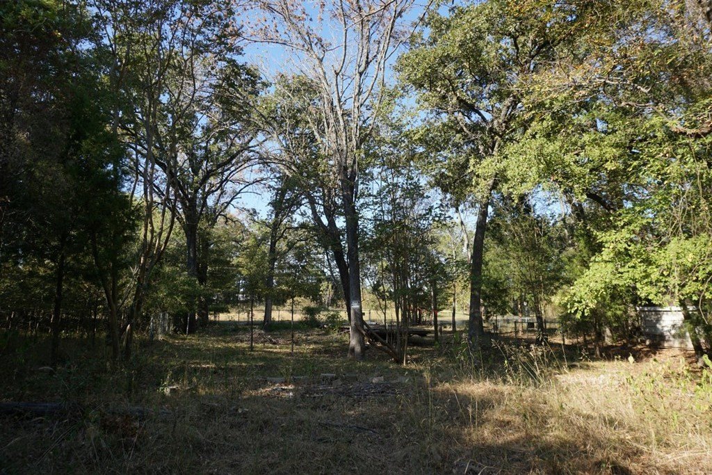 Picture 8